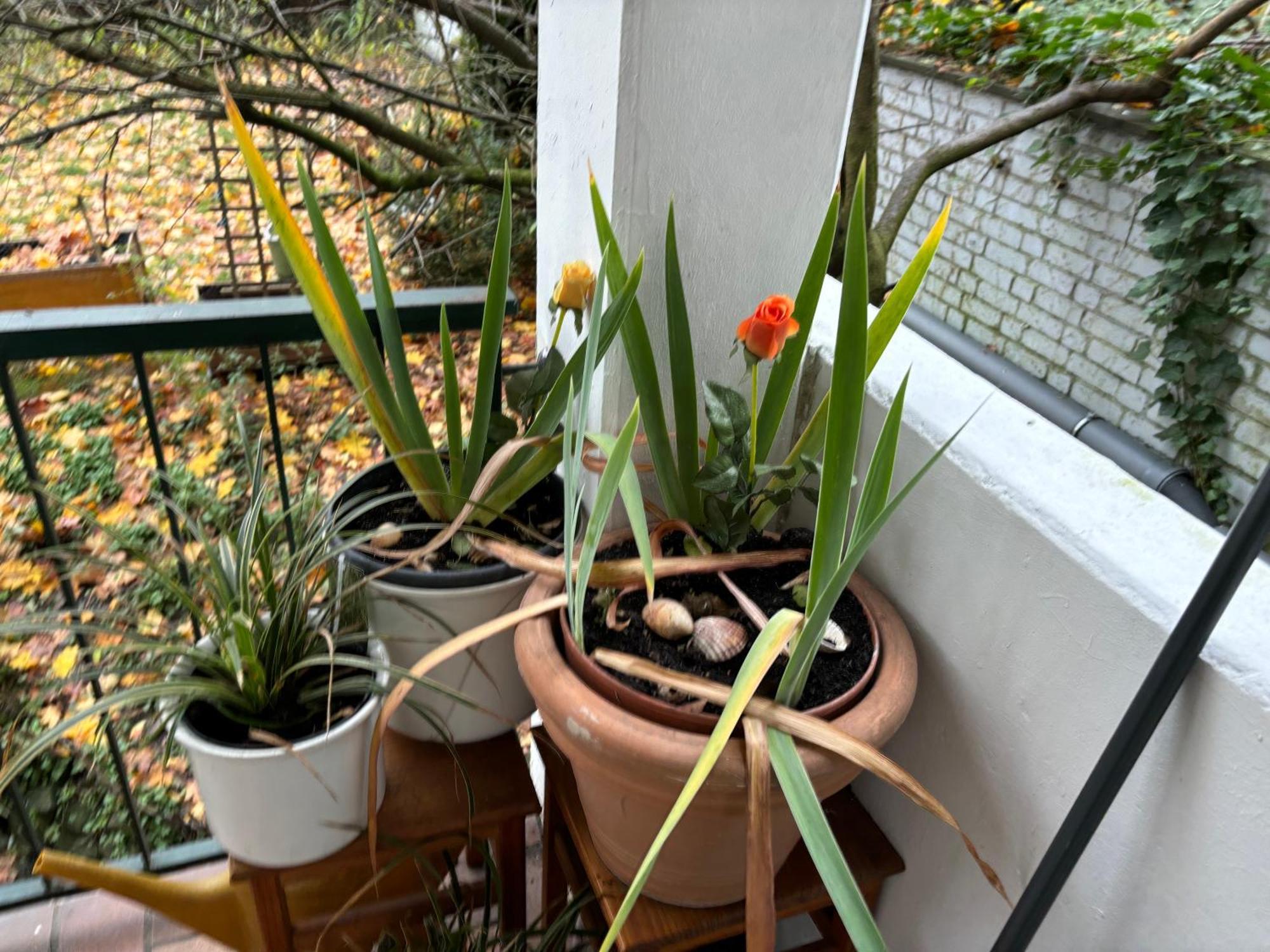 Koeln Wohnung 4 Min Naehe Von Hbf Und Dom Mit Garten ,Balkon & Office ภายนอก รูปภาพ